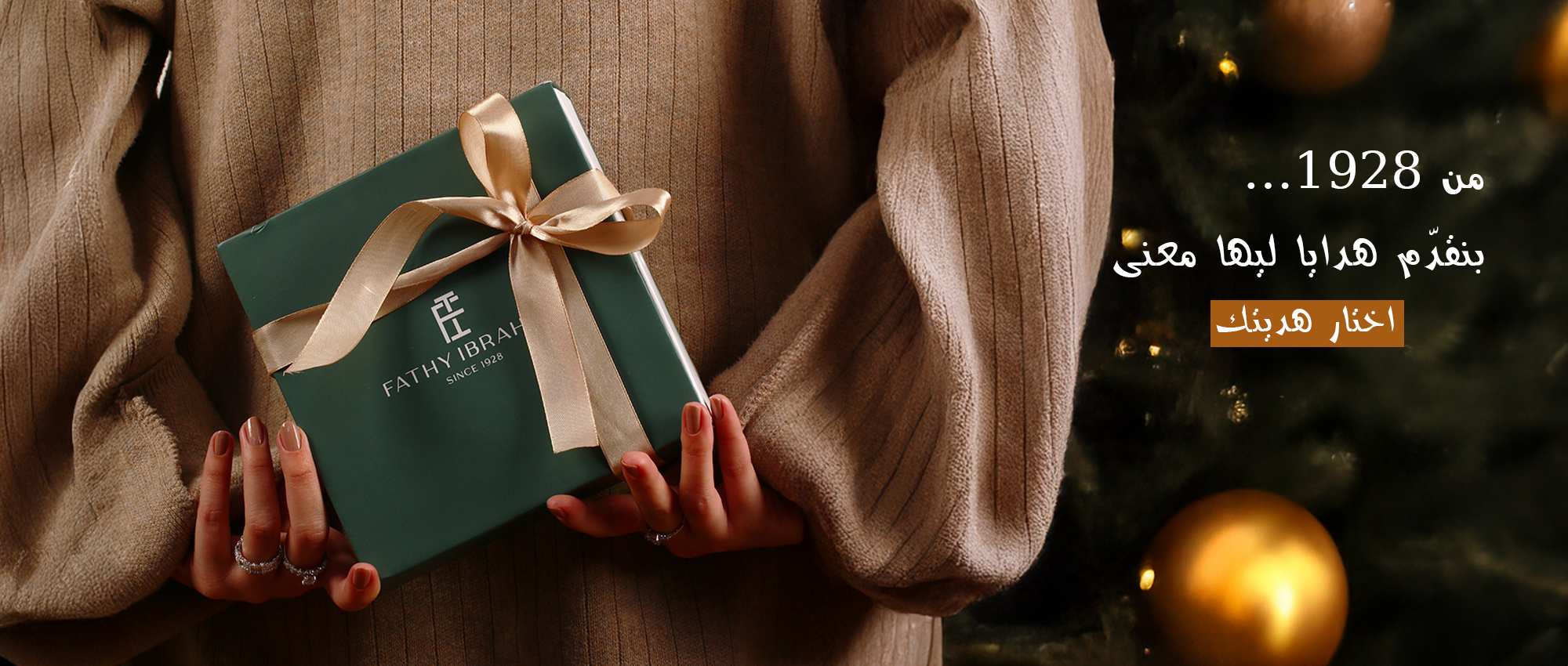 Fathy Ibrahim - فتحي إبراهيم