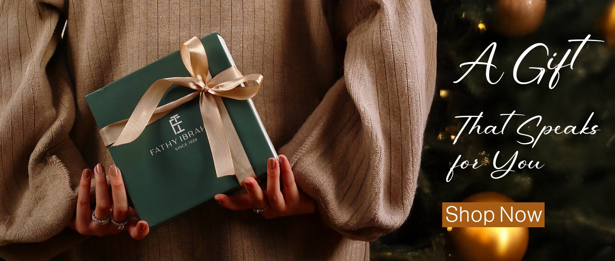 Fathy Ibrahim - فتحي إبراهيم