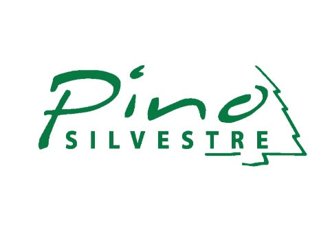 بينو سلفيستر