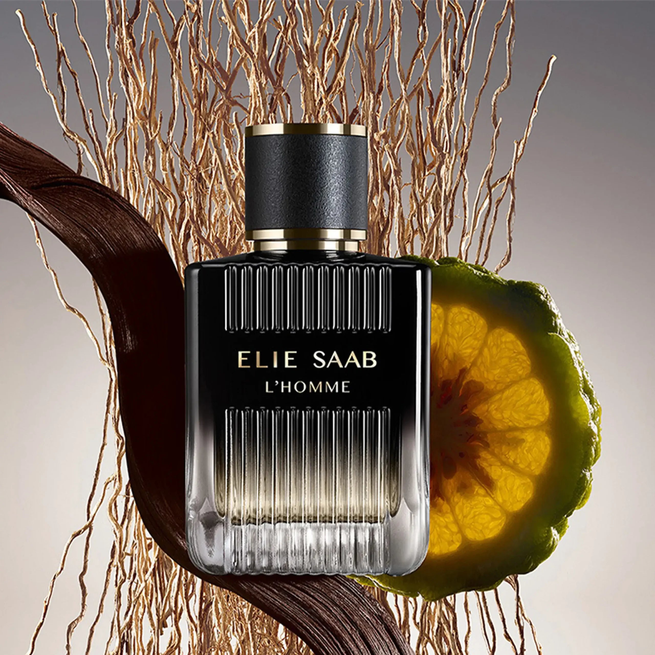 L'Homme by Elie Saab for Men - Eau de Parfum - 100ml