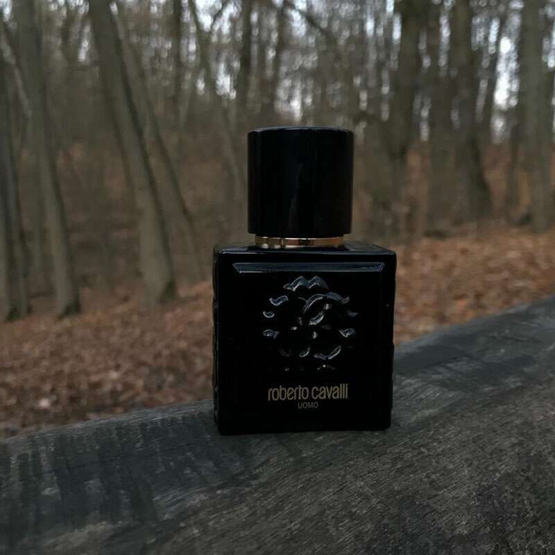 Roberto Cavalli Uomo Eau de Toilette for Men – 100ml
