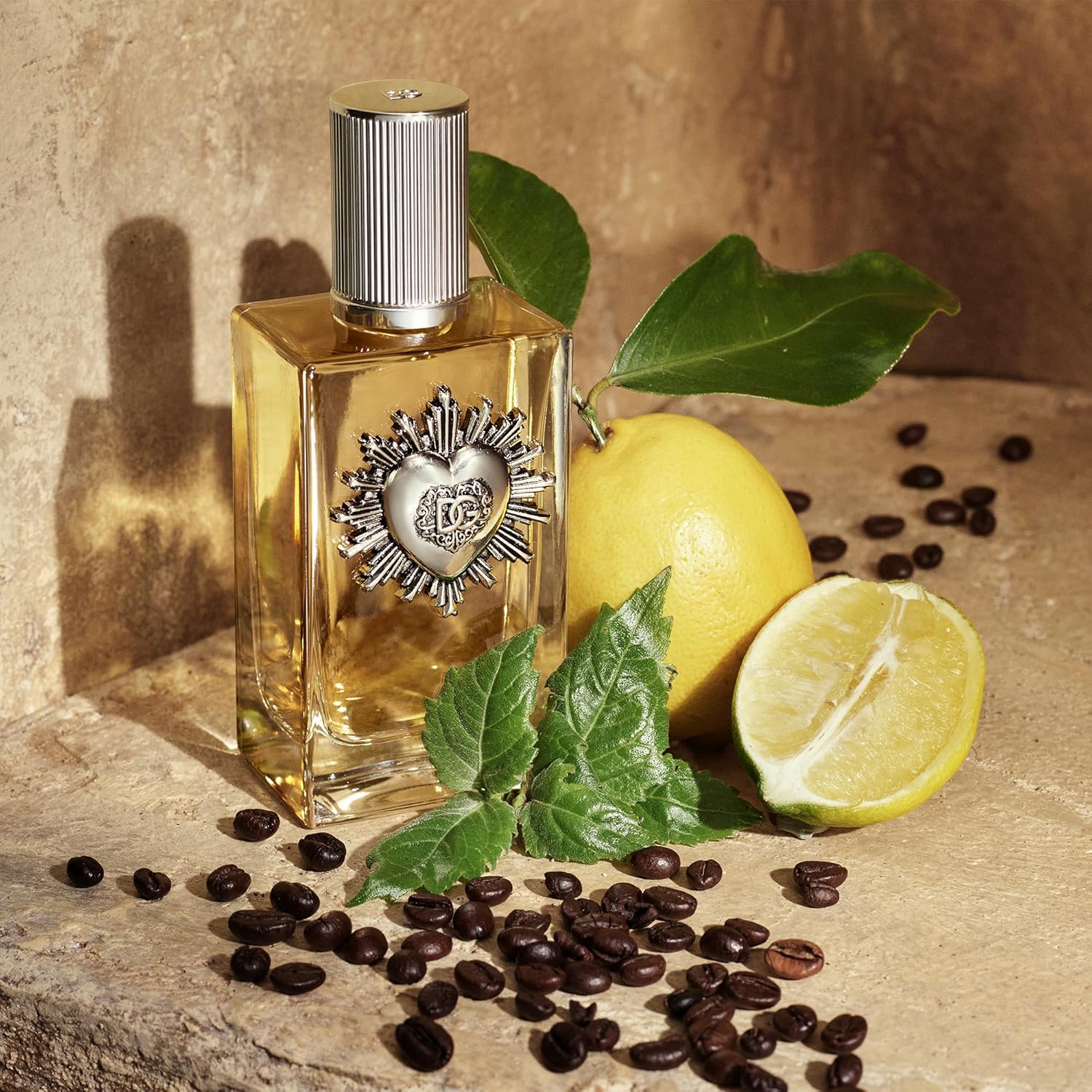 Dolce & Gabbana Devotion Pour Homme Eau de Parfum 100ml for Men