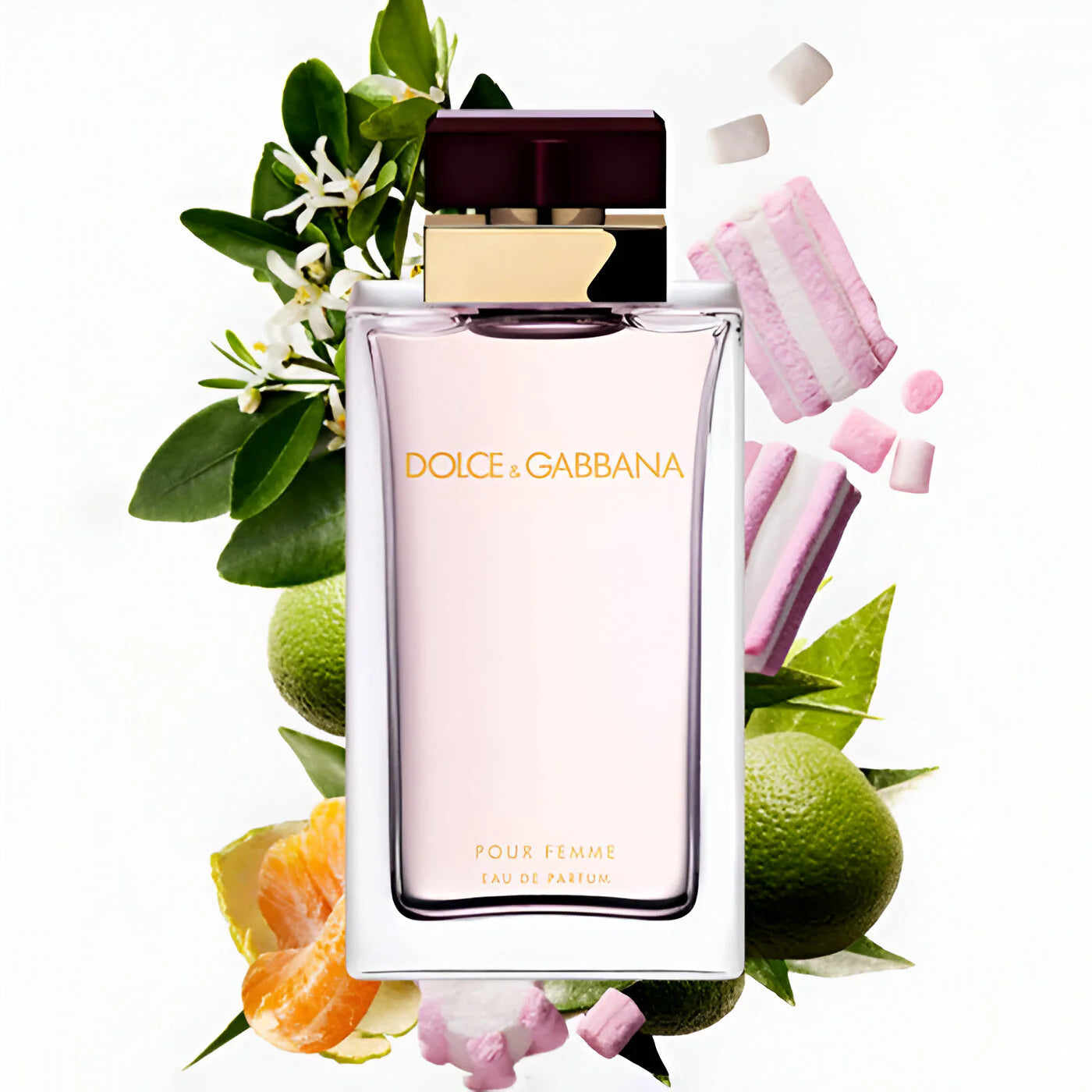 Dolce & Gabbana Pour Femme Eau De Parfum For Women 100Ml
