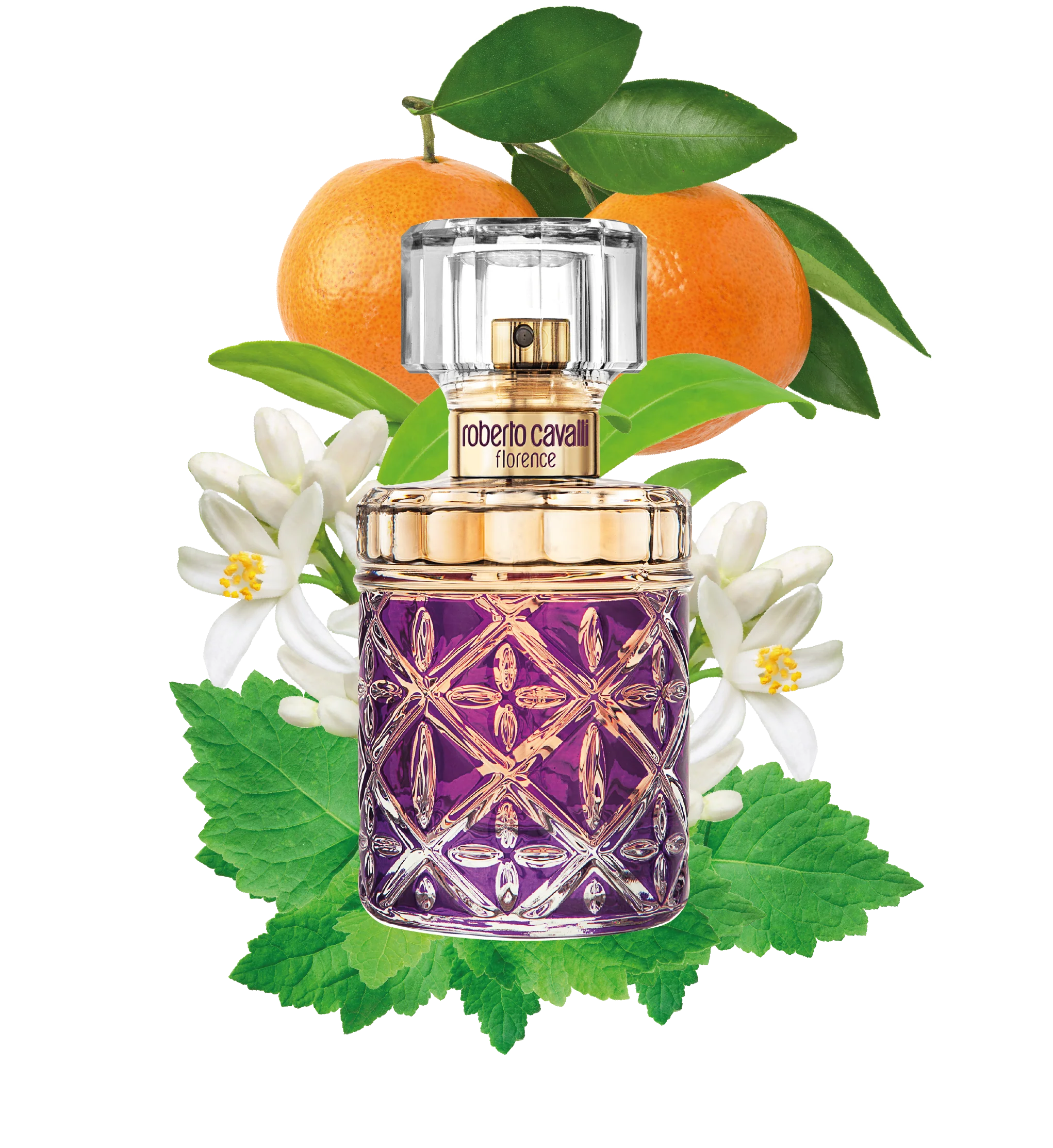عطر فلورنس من روبرتو كافالي أو دو بارفان للنساء - 75 مل