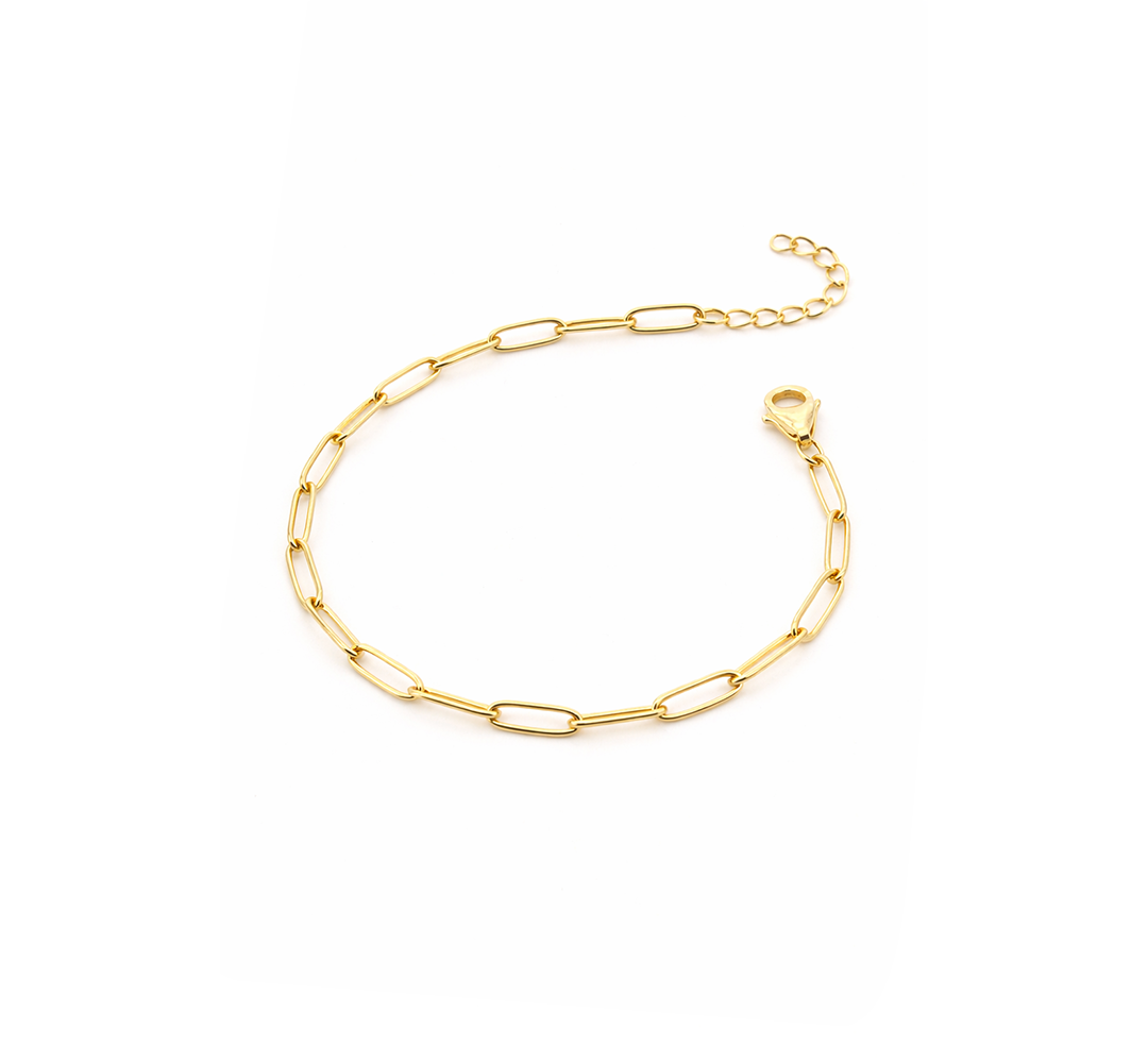 انسيال فضة عيار 925 بسلسلة مطلية ذهب