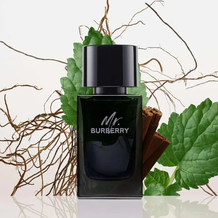 Burberry Mr. Burberry for Men - Eau de Parfum, 100ml