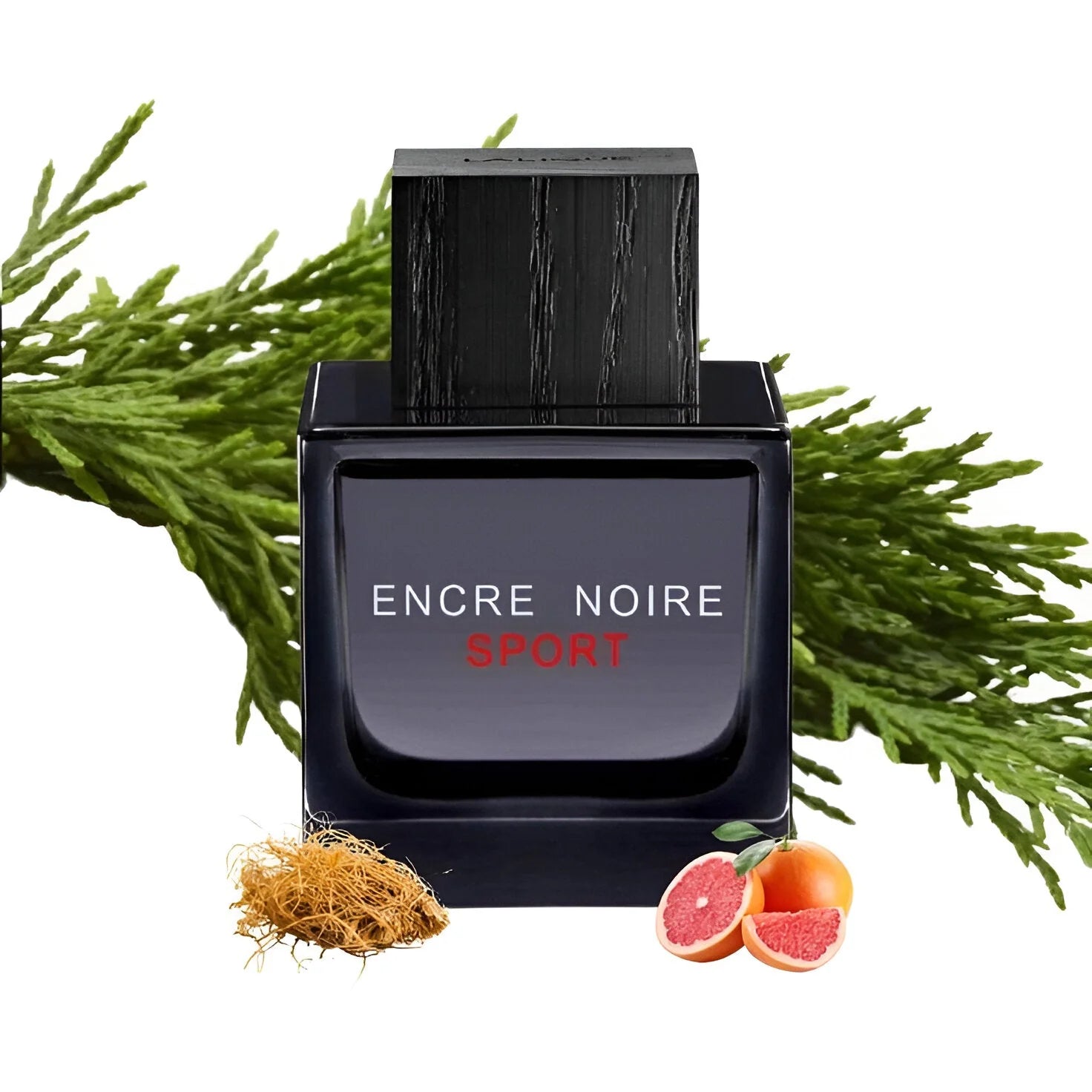 عطر إنكر نوار سبورت من لاليك للرجال - 100 مل، أو دو تواليت