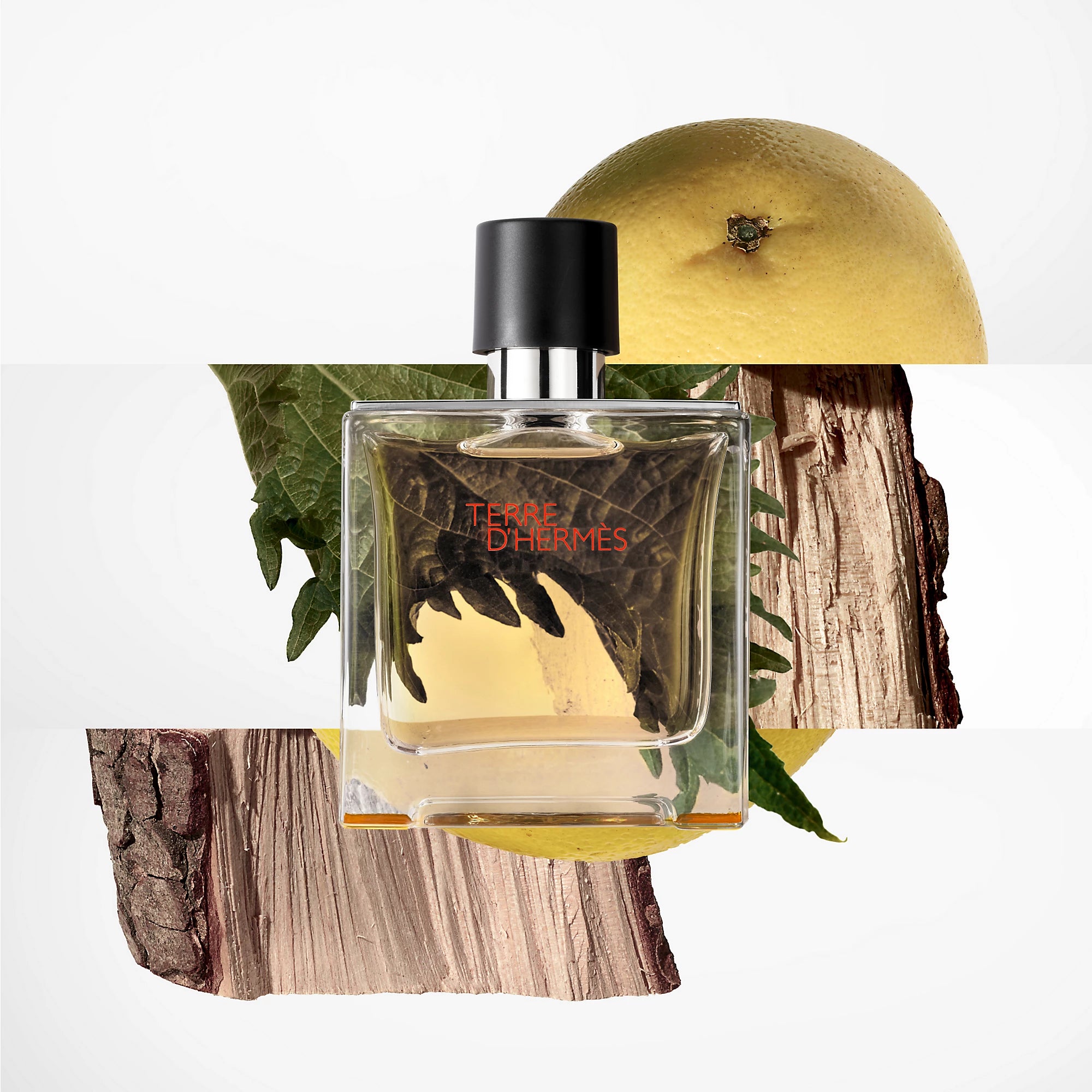 Terre D'Hermès Parfum By Hermès For Men - 75ml